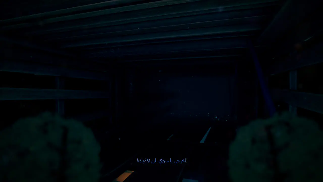 صورة من تعريب خارج نطاق الرؤية 2