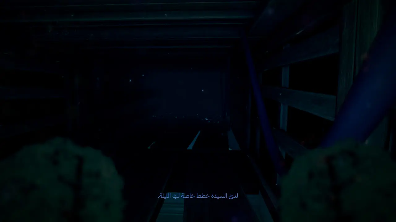 صورة من تعريب خارج نطاق الرؤية 1